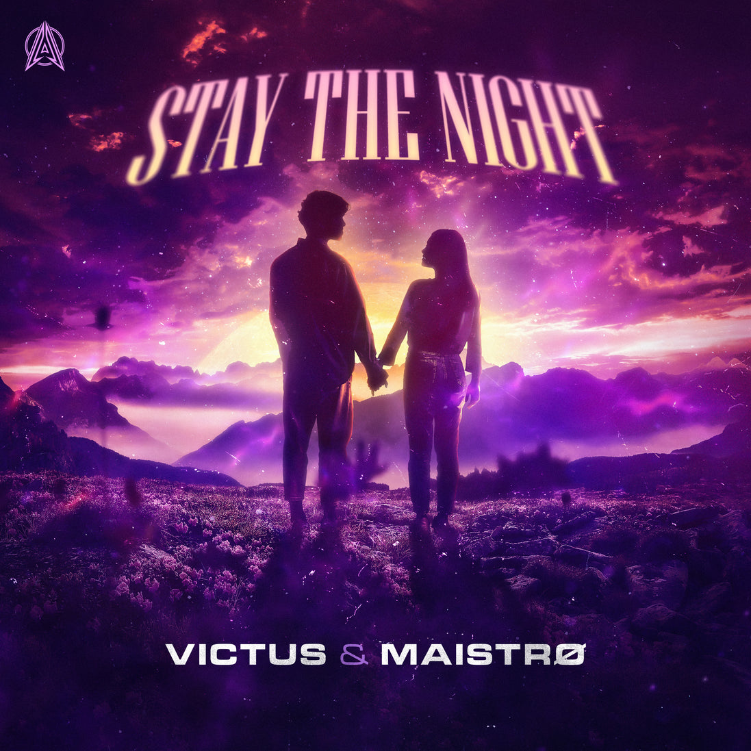 Stay The Night